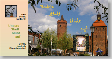 Postkartenbuch
Unsere Stadt blüht auf
Bernau durch die Blume betrachtet